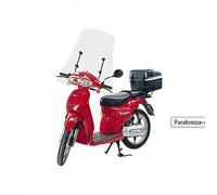 Parabrezza completo Aprilia Scarabeo 50 100 DAL 1993 AL 2013 Fabbri 1215
