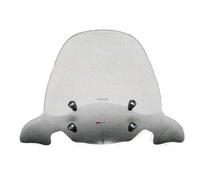 Parabrezza Completo Di Attacchi Per Piaggio Carnaby 125 200 250 2007 2008