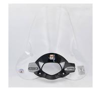 Parabrezza Isotta Alta Prot Con Serigrafia 610x760x3 Honda Sh 125i 2005 2008