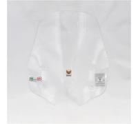 Parabrezza Isotta Classic per KYMCO Agility 300 R16 Abs Dal 2019 - Kit Completo Cod. Cls3045 Con Supporto A/455