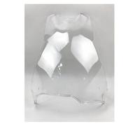 Parabrezza moto Per BMW Per F800GS Per F700GS Per F700 800 650 Per F800 F650 GS Per F650GS 2008-2017 Parabrezza Moto Parabrezza Deflettori Del Vento Cupolino Del Motociclo Deflettore Aria(Clear)