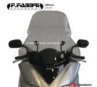PARABREZZA PARAVENTO CON ATTACCHI FABBRI EXCLUSIVE HONDA FORZA 250 2008 - 2011