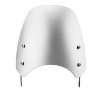 Parabrezza Schermo Anti-Insetti Deflettore Vento Per Triumph T100/T120 2016 2017 2018 2019 2020 2021 2022 Moto