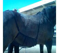 Paradenti per - Copertura addominale in tessuto a rete, traspirante per | Paradenti regolabili e ventilati per la pancia, rete addominale traspirante, fascia addominale, copertura coperta a