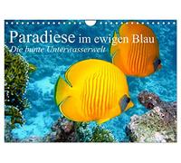 Paradiese im ewigen Blau. Die bunte Unterwasserwelt (Wandkalender 2023 DIN A4 quer): Das bunte Treiben der schönen Lebewesen unter Wasser (Monatskalender, 14 pagine) (CALVENDO Tiere)