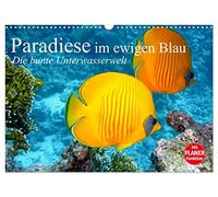 Paradiese im ewigen Blau. Die bunte Unterwasserwelt (Wandkalender 2026 DIN A3 quer), CALVENDO Monatskalender: Das bunte Treiben der schönen Lebewesen unter Wasser