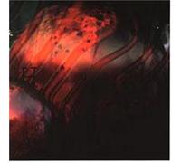 Paradigm Lost - Human