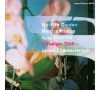 Paradigm Shift - Street Expressionism