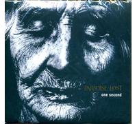 Paradise Lost - One Second