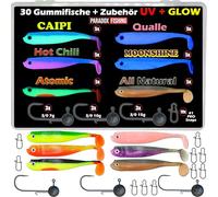 Paradox Fishing Pesci in gomma per lucioperca, 10 cm, 5 pezzi, Starter Box, 30 pezzi + 9 teste Jig + 10 Snaps