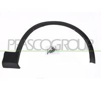 Parafanghino Anteriore Destro Con Primer Per Bmw X3 - F25 2010-2014 Lato Destro