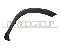 Parafanghino Anteriore Destro Dacia Duster Dal 2010 Al 2013 Lato Dx 960169632r