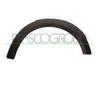 Parafanghino Anteriore Destro Per Mini Mini (bmw) R56/r57 2006-2010 Lato Destro