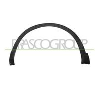 Cer Listello di Protezione Parafango Anteriore SX PRASCO per Nissan Qashqai II