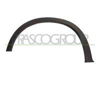 MODANATURA PARAFANGO ANTERIORE SINISTRO ADATTABILE A BMW X5 E70 01/2007-> 517771