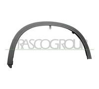 PRASCO SZ7501582 Modanatura decorativa / protettiva, Parafango