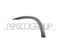 Parafanghino Anteriore Sinistro Per Toyota Rav 4 Dal 2000 Al 2003 Lato Sinistro