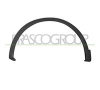 Allargamento Parafango Prasco RN7501582 per Renault