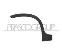 Parafanghino Posteriore Destro FIAT PANDA TREKKING CLIMBING 4X4 Dal 2012