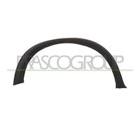 Parafanghino Posteriore Destro Per Bmw X5 - E70n 2010-2013 Lato Destro