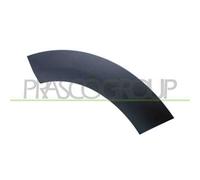 Parafanghino Posteriore Destro Per Mini Mini (bmw) Countryman (r60) 2010-2017 Dx