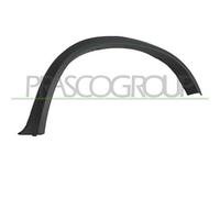 Parafanghino Posteriore Sinistro Con Primer Per Bmw X5 - E70n - M-tech 2010-2013