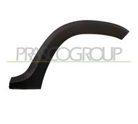 Parafanghino Posteriore Sinistro Per Dacia Duster Dal 2010 Al 2013 Lato Sinistro