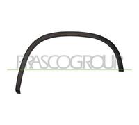 Parafanghino Posteriore Sinistro Per VOLKSWAGEN TIGUAN Dal 2007 Al 2011