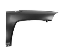 Parafango Anteriore Destra Adatta: Jeep Compass 08.06-02.11