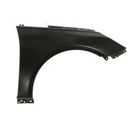 Parafango Anteriore Destra BLIC Per HYUNDAI SONATA VI 01.11-06.14