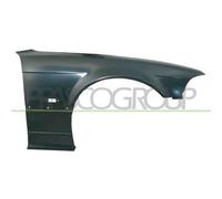 Parafango Anteriore Destro Con Foro Bmw 3 Series / E36 1990/1998 Lato Destro