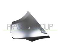 Parafango Prasco FT9003013 per Fiat Nissan Opel Renault