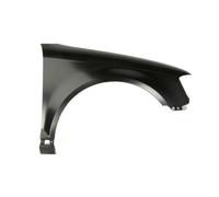 Parafango Anteriore Destro Per Audi A3 Sportback 8PA 8P1 8P7 2008 EISENFELS