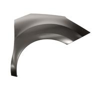 Parafango Prasco CI3243003 per Citroën