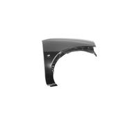 Equal Quality Parafango Ant L01207