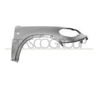 Parafango Anteriore Destro Plastica Non Verniciato per BMW X5 E70 xDrive30d