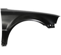 Parafango anteriore Dx 6504-04-9539316Q BLIC per VW PASSAT B5.5 Variant