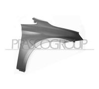 PRASCO BM2003003 Parafango