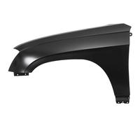 Parafango Anteriore Sinistra Adatta: Chrysler Pacifica 08.03-06.06