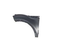 Parafango Anteriore Sinistra Adatta: Land Rover Range Rover Evoque 06.11-08.15