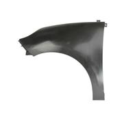 Parafango Anteriore Sinistra Adatta: Renault Grand Scenic III Ph I,Scenic I 0