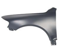 Parafango Anteriore Sinistra Adatta: VW Touareg 10.02-11.06