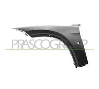 PRASCO BM7023014 Parafango