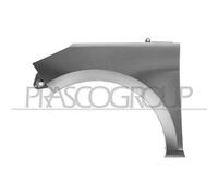 Parafango Anteriore Sinistro Ford Fiesta Mk Vii 2017/2021 Lato Sinistro 2125832