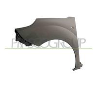 Parafango Anteriore Sinistro In Plastica Con Primer Per Renault Kangoo 2013-2021