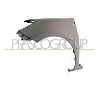 Parafango Anteriore Sinistro In Plastica Renault Clio 2005/2009 Sx 7701/476/104