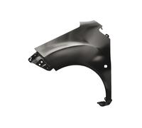 Prasco Parafango DW3403014 Anteriore Sinistro per Chevrolet Spark M300 2009