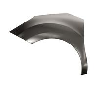 Parafango Prasco CI3243004 per Citroën