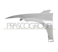 Parafango anteriore sinistro