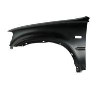 Parafango anteriore Sx con foro per indicatore direzione 6504-04-2955311P BLIC